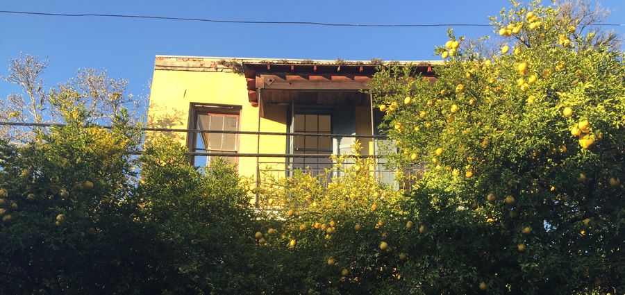 Cover Photo: The Lemons of Pompeii by Jacob Kiernan