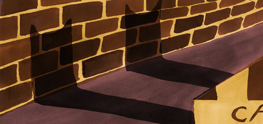 Cover Photo: Tallulah Pomeroy