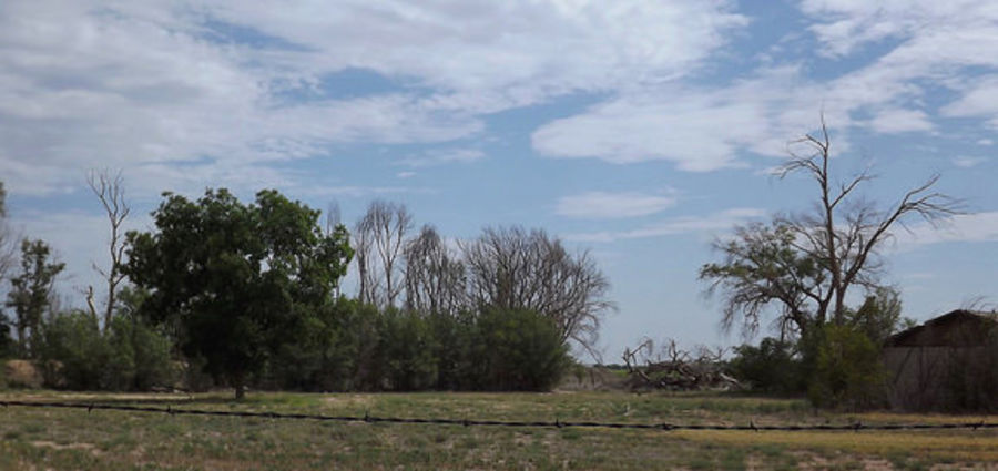 Cover Photo: Farm, Roswell, New Mexico