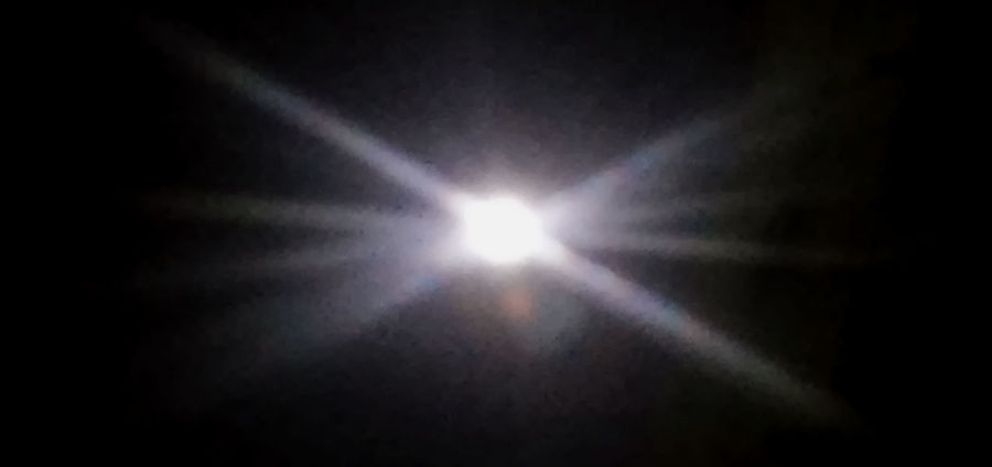 Cover Photo: Bark at the Moon. Photo taken and manipulated by the author.