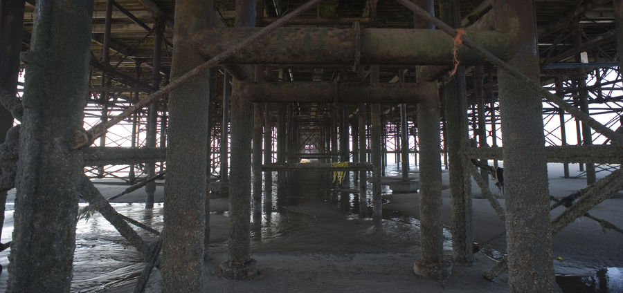 Cover Photo: Under the Pier by Shirley Golden