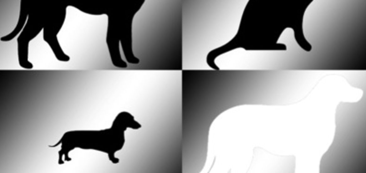 Cover Photo: We Men of Science by Raphael Bob-Waksberg