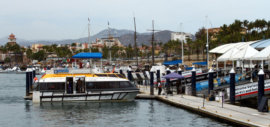 Cover Photo: Tender Pier at Cabo San Lucas courtesy of Prayitno on Flickr. CC BY 2.0