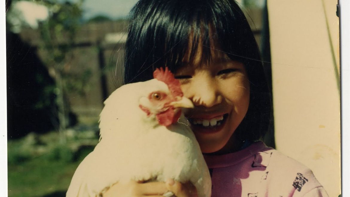 Catapult | When Chickens Hatch | Helen Young Chang - Vimarsana News