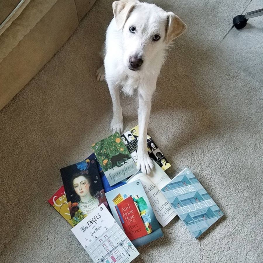 Cover Photo: The Literary Pet of the Month is Luna by Erin Kottke