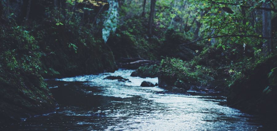 Cover Photo: Photo by Caleb George