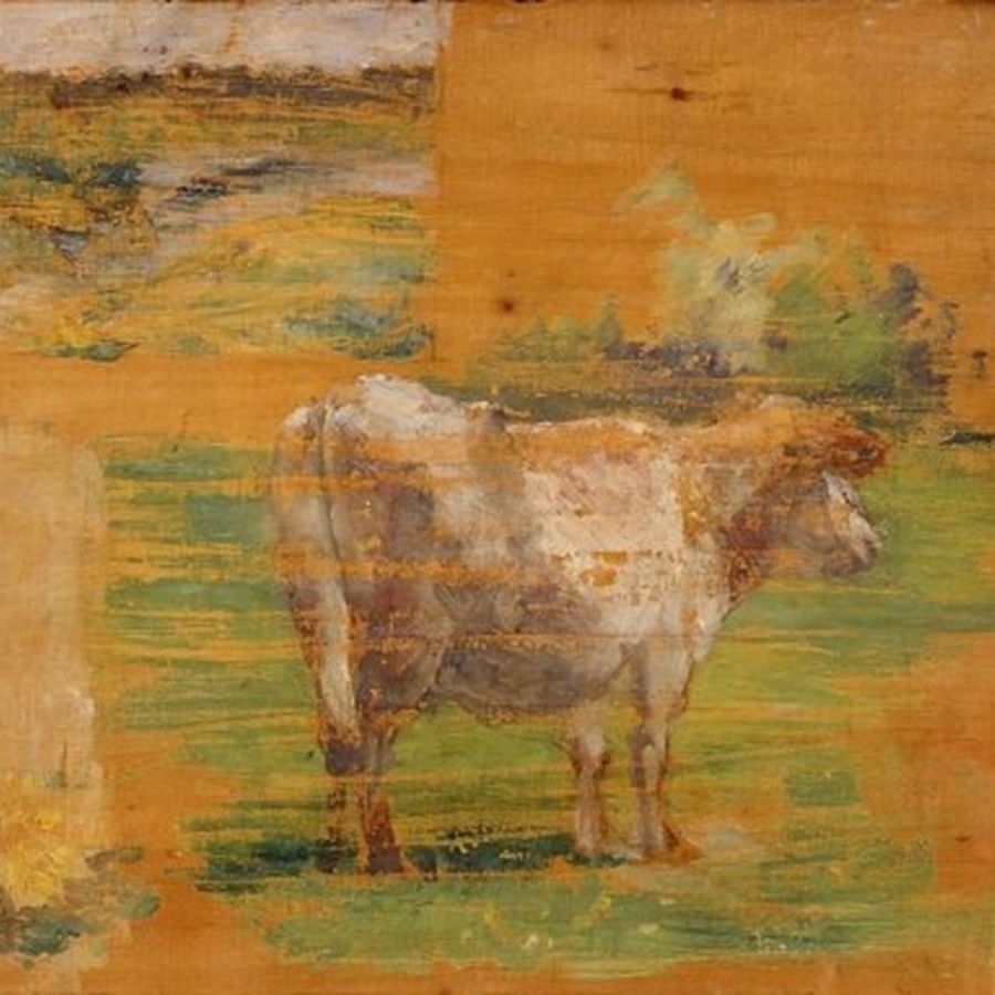 Catapult Catapult The Rancher Who Refused To Leave A Fukushima