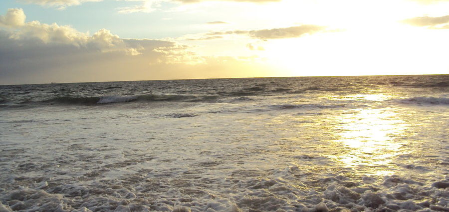 Cover Photo: Morning Dreams by Lauren Suval