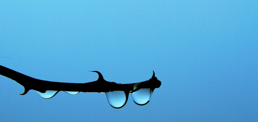 Cover Photo: Flickr / Oiluj Samall Zeid