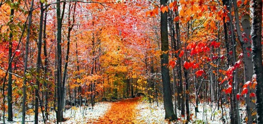 Cover Photo: Live as if you're November by Lauren Suval