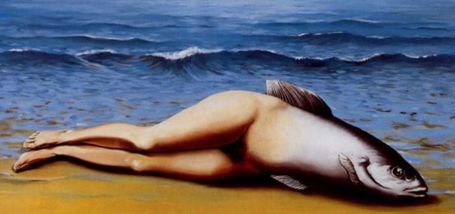 Cover Photo: The collective invention, 1934 by Rene Magritte