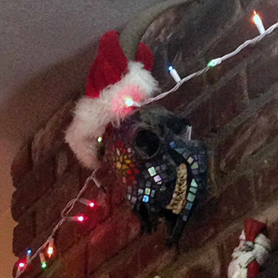 Cover Photo: Every year, my mom puts a santa hat on our mosaic'd goat skull that hangs on our mantelpiece.