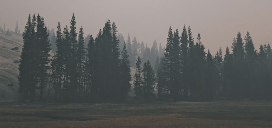Cover Photo: A Partial View by Brandon Taylor