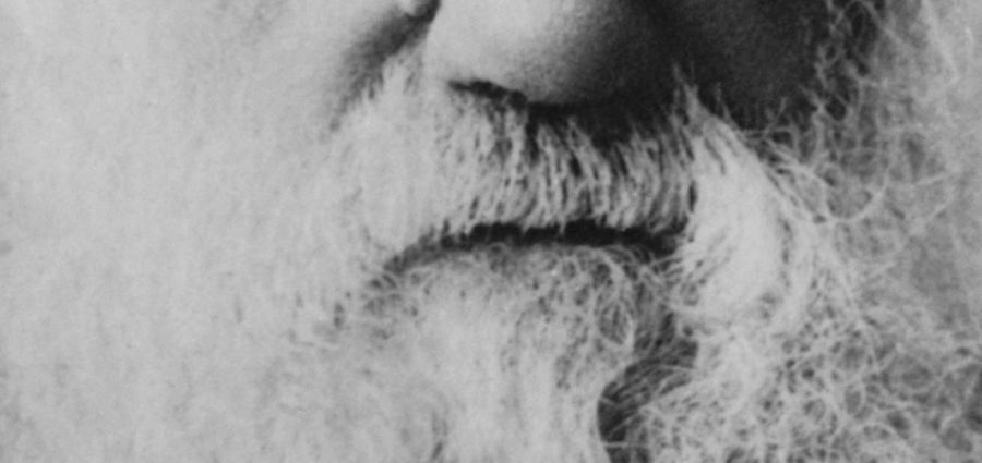 Cover Photo: Charles Darwin Selects by Chris Okum