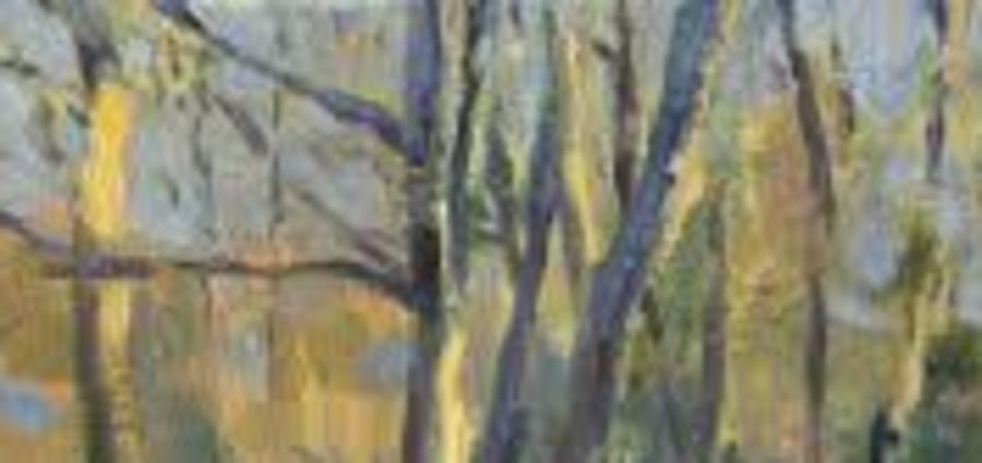 Cover Photo: November Bones II by Lauren Suval