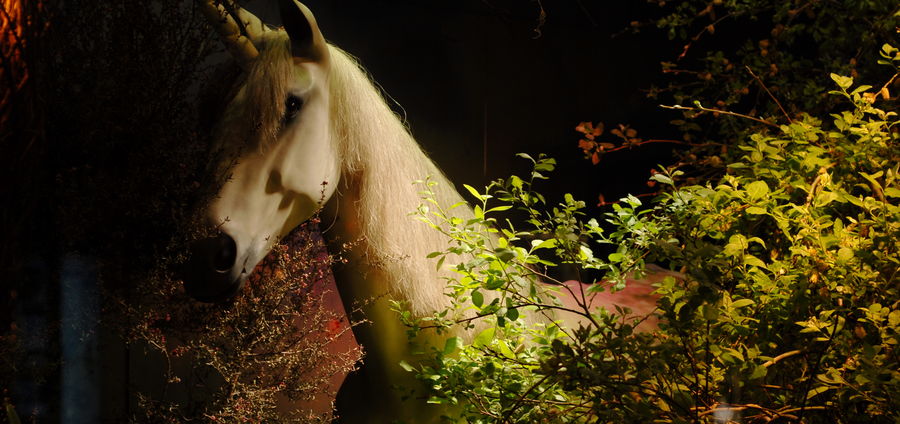 Cover Photo: photo by Ben Smith/flickr
