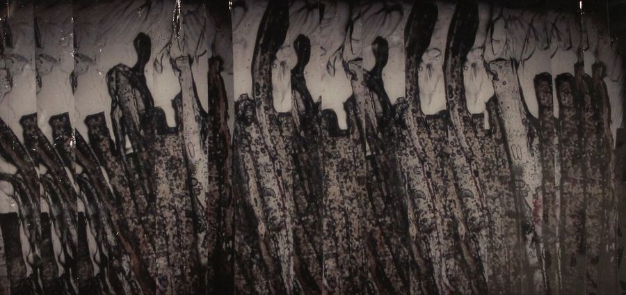 Cover Photo: from "Illuminations" by Megan Moriarty, 2015